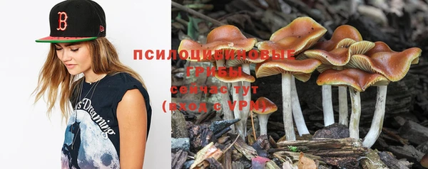 синтетический гашиш Каменногорск